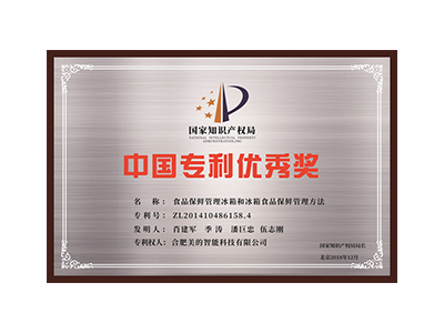 China Patent Excellence Award (20th session)